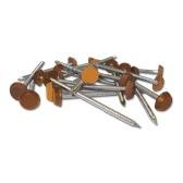 Plastic Headed Nails Oak
